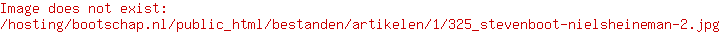 Wat kost een website?