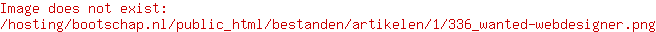 Wanted Webdesigner